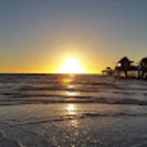 Meet your Posher, Bobi